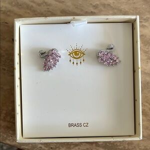 Eye Candy Pink and Silver Fan Earrings